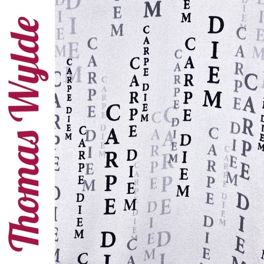 THOMAS WYLDE Y2K Sheer Silk Lyocell Text Print Dress Avant Garde Editorial Small - Picture 7 of 16